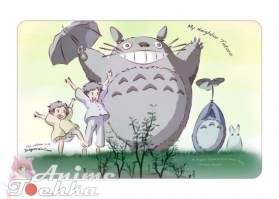 Totoro 12